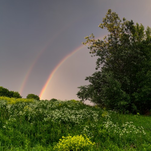 A double rainbow in June