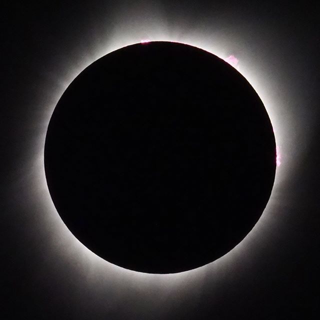 Scenes from the Great American Eclipse: A tighter corona shot taken just after onset of totality that better showcases solar prominences