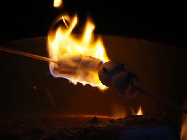 NPI at RedmondLights 2019: Flaming marshmallows were a recurring sight at the fire pits