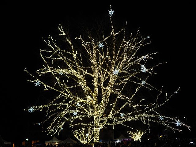 NPI at RedmondLights 2019: The tree is lit!