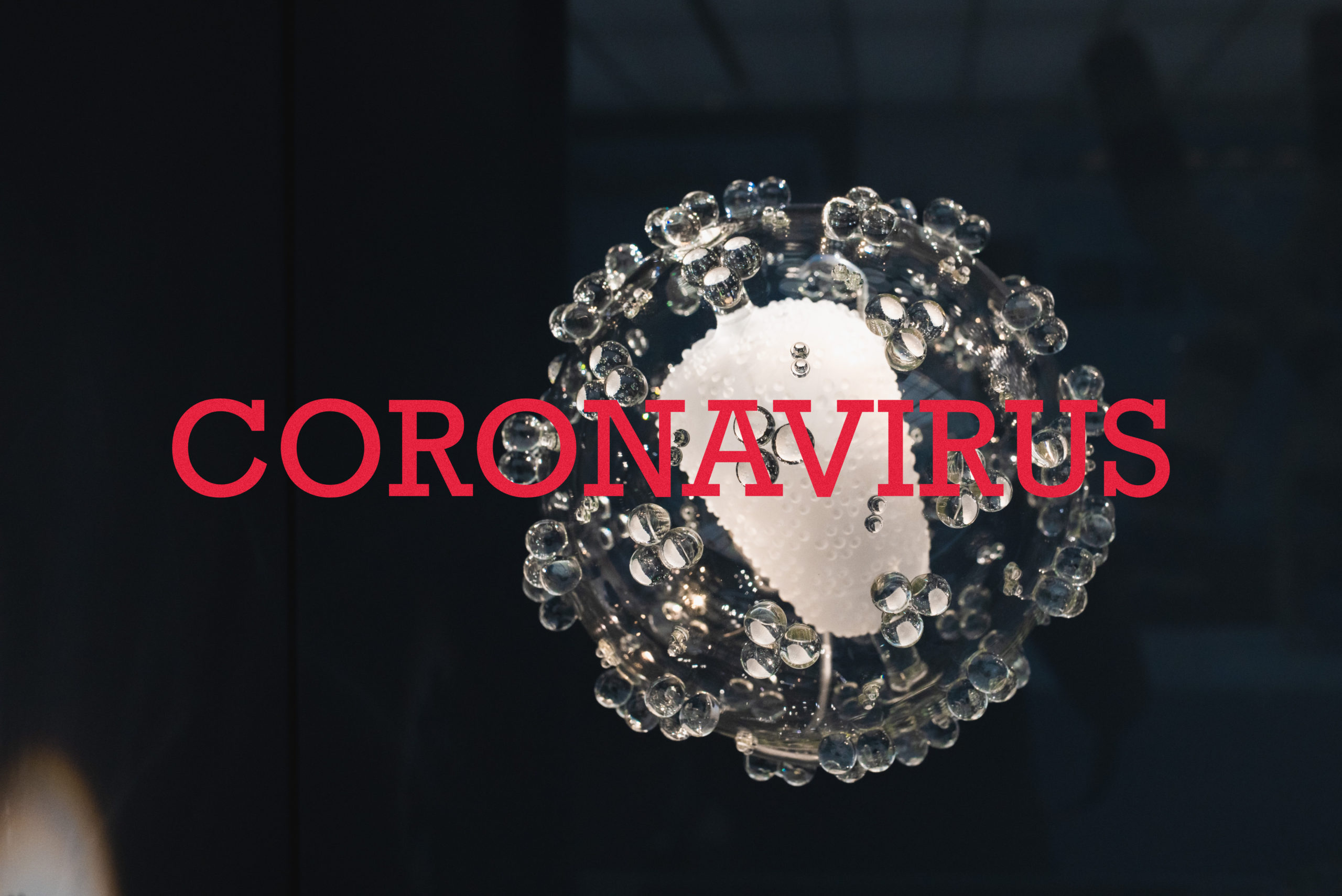 Novel coronavirus
