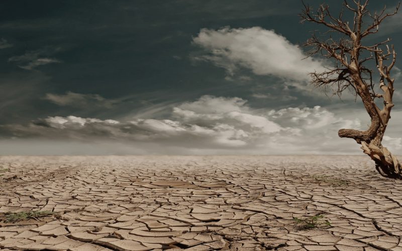 Drought in a desert