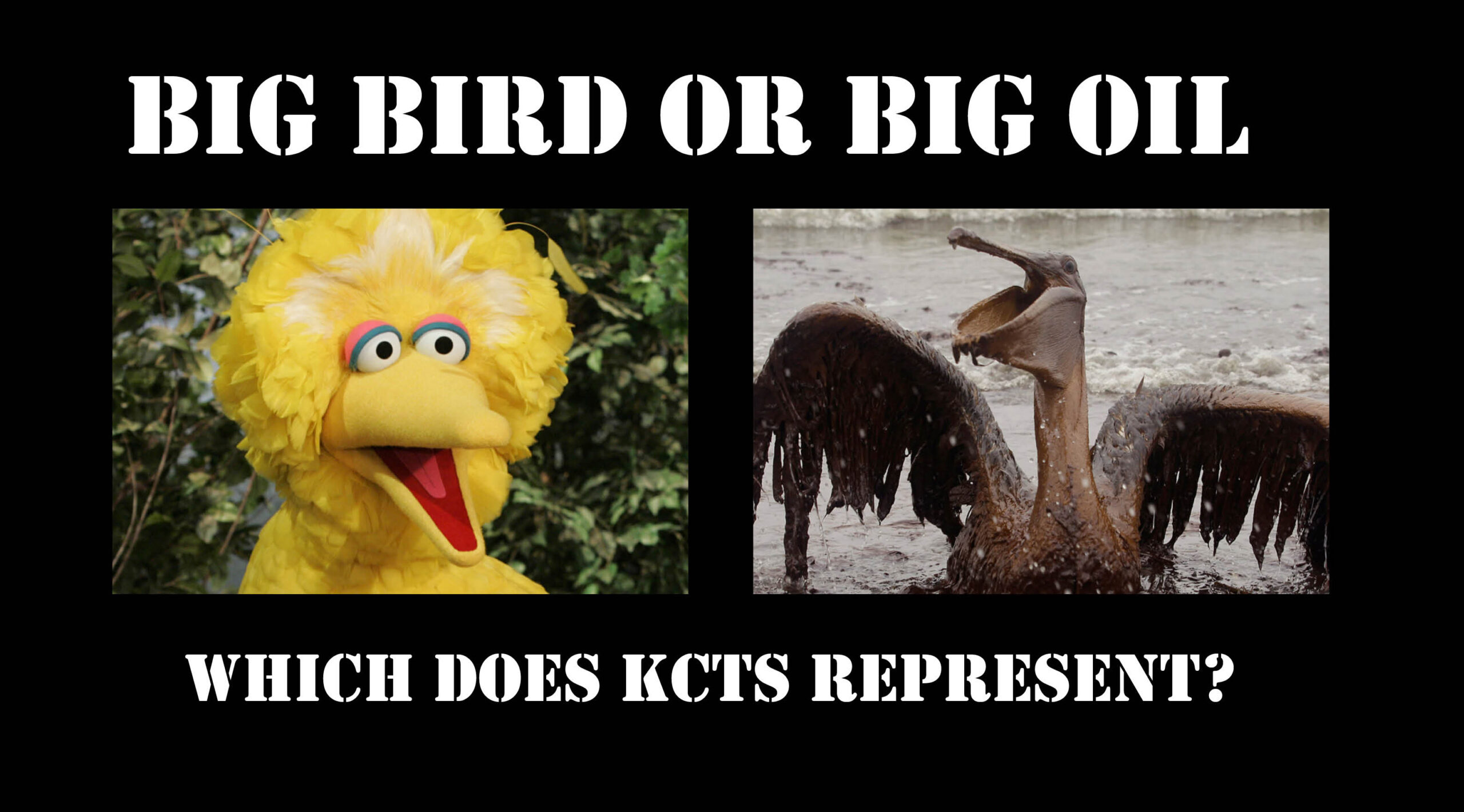 Big Bird or Big Oil: Which does KCTS represent?