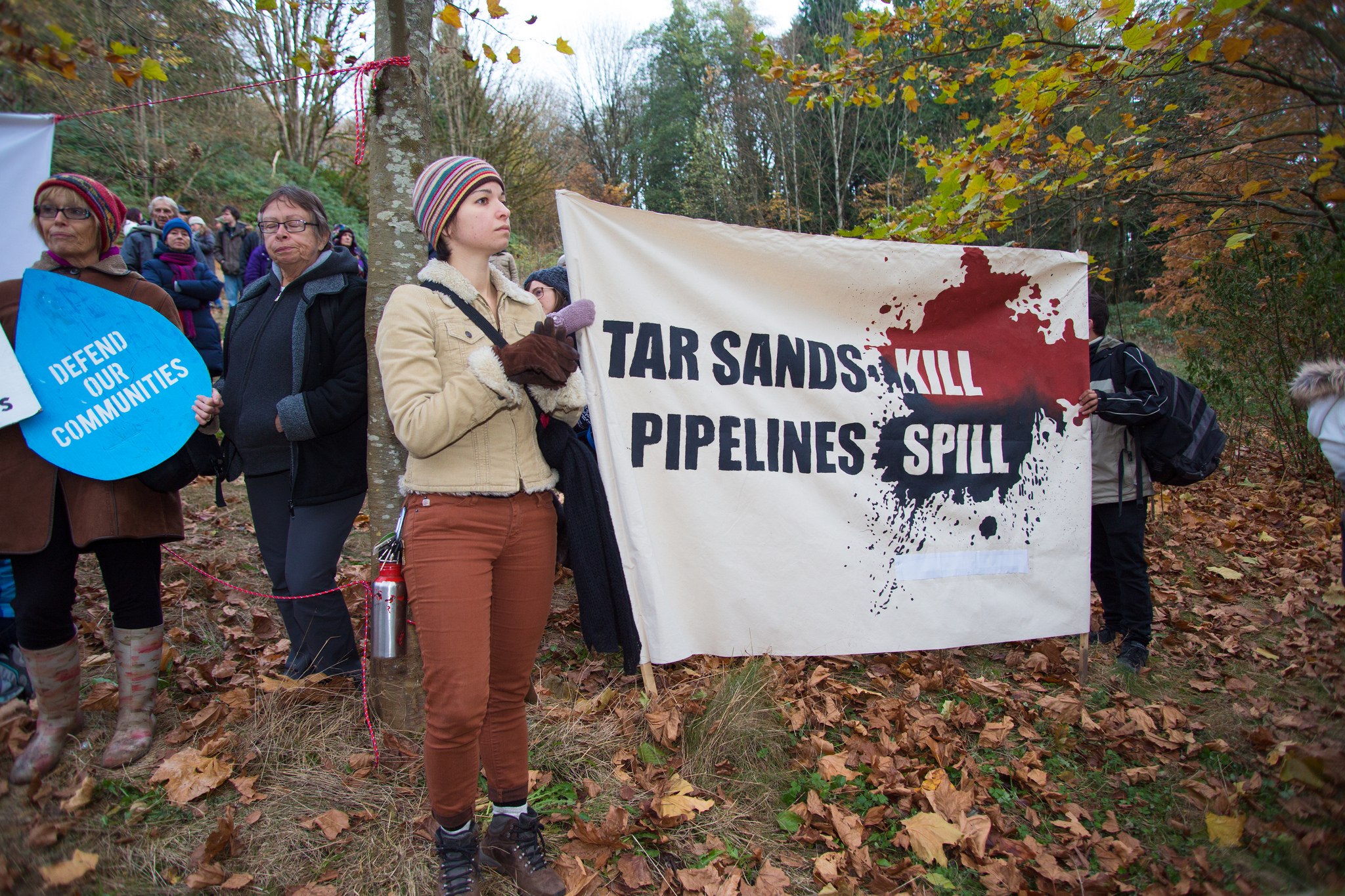 Tar sands kill, pipelines spill