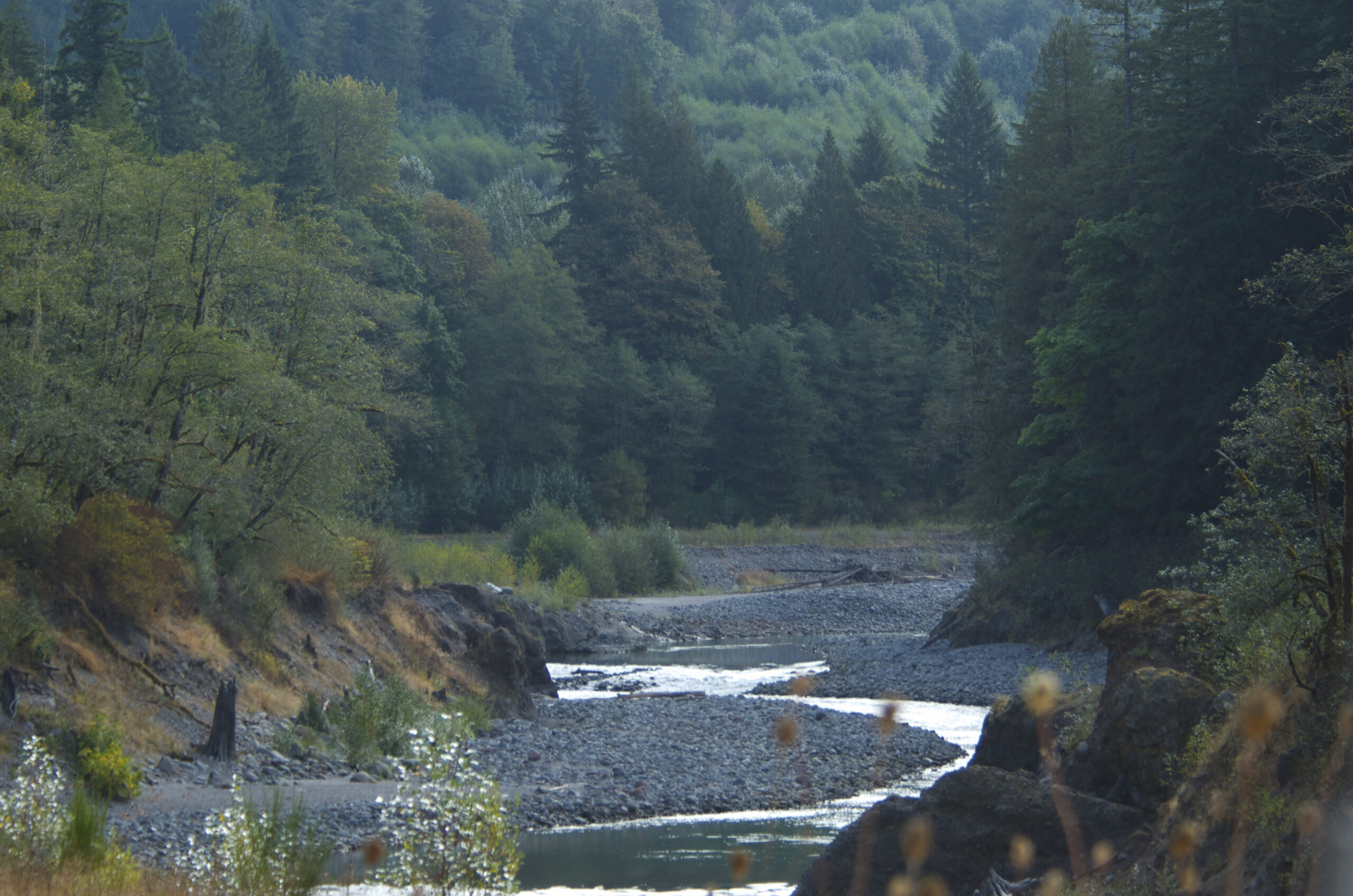 The wild and scenic Sandy River