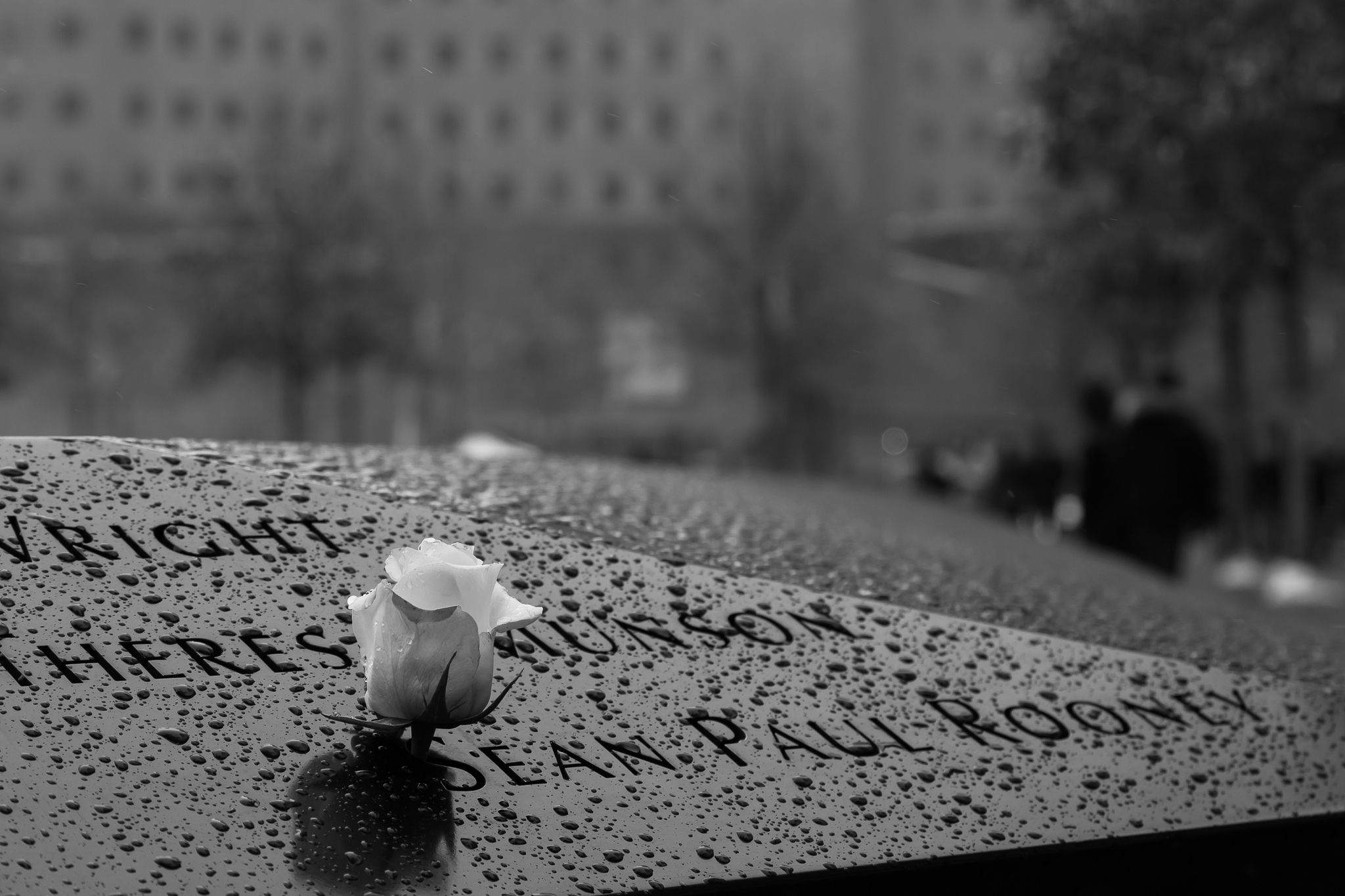 A photo from the National September 11th memorial