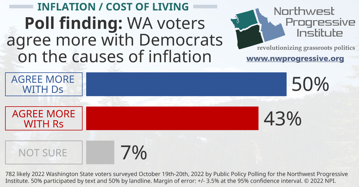 Visualization of NPI's October 2022 cost of living / inflation causes question