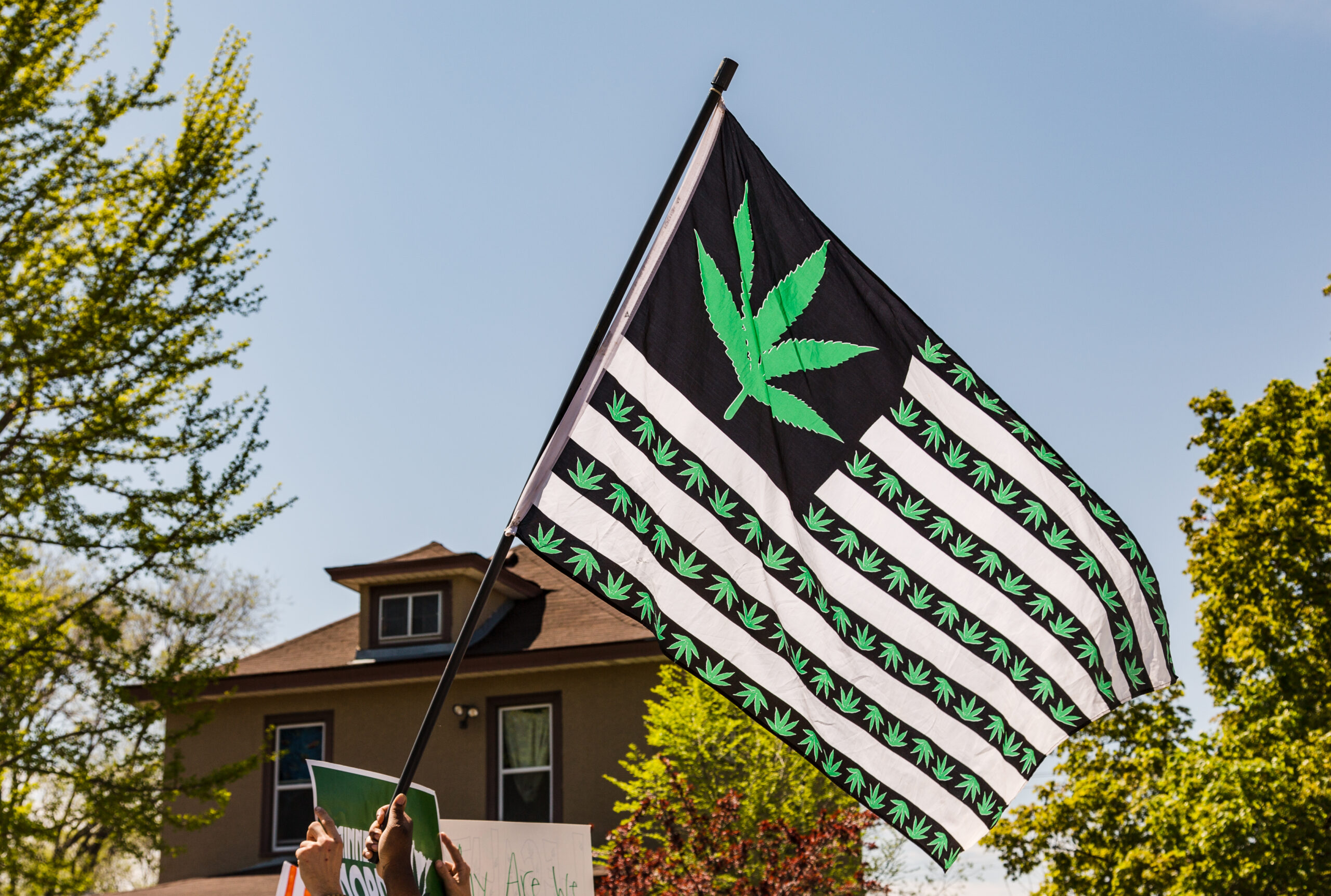 Marijuana Flag - Minneapolis MayDay Parade 2017