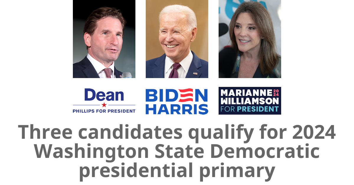 2024 Democratic presidential primary candidates