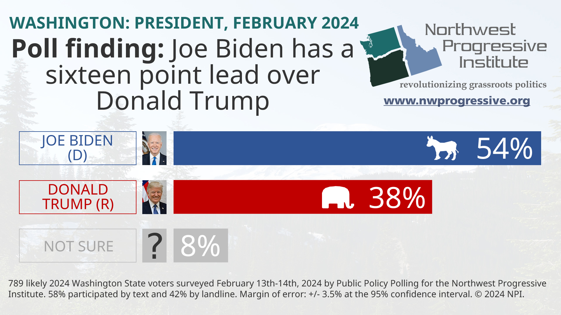 Visualization of NPI's February 2024 presidential poll finding